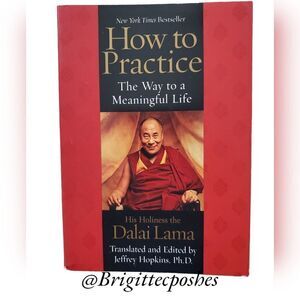 DALAI LAMA How To Practice The Way to a Meaningful  Life - Paperback